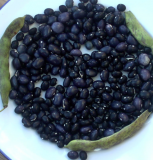 Samen Stangenbohne Schöne von Richigen